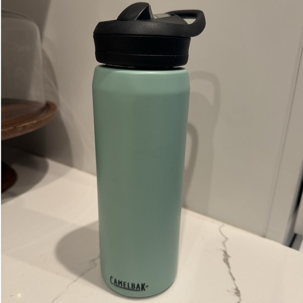 CamelBak Water‎ Bottle with Straw Stainless Steel 25 oz Mint Green